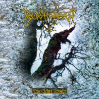 Borknagar - The Olden Domain 200x200